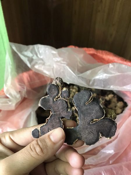 ngai den co tac dung gi
