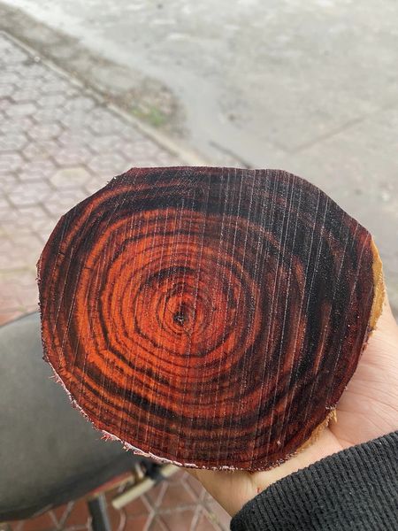 gỗ trắc đỏ đen , giá gỗ trắc đỏ đen , gỗ trắc đỏ đen là gỗ gì