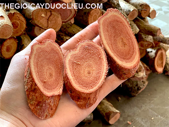 Củ sâm hồng bảy núi hỗ trợ sức khỏe , bán củ sâm hồng bảy núi