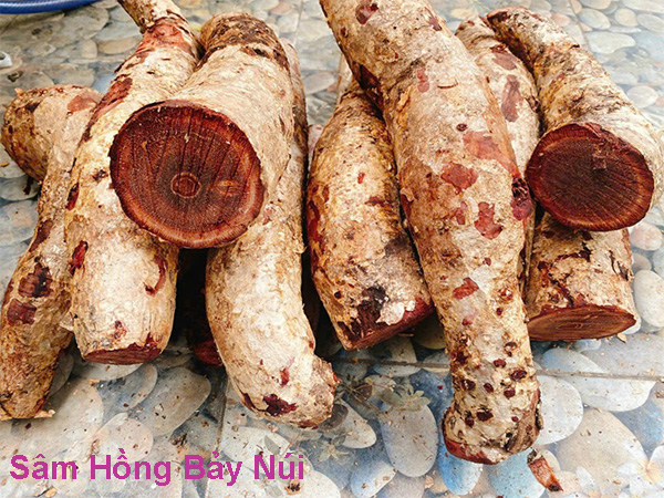 cu sam hong bay nui